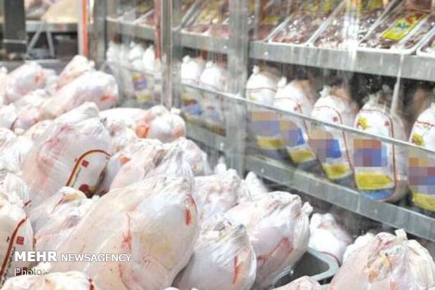 توقیف هفت تن مرغ فاسد قبل از توزیع در بازار