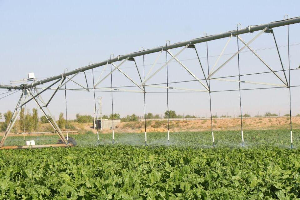 اجرای ۴۰۵ هکتار سامانه نوین آبیاری در مزارع کشاورزی استان قزوین
