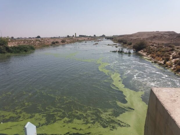 زاینده رود به سمت تالاب گاوخونی روانه شد