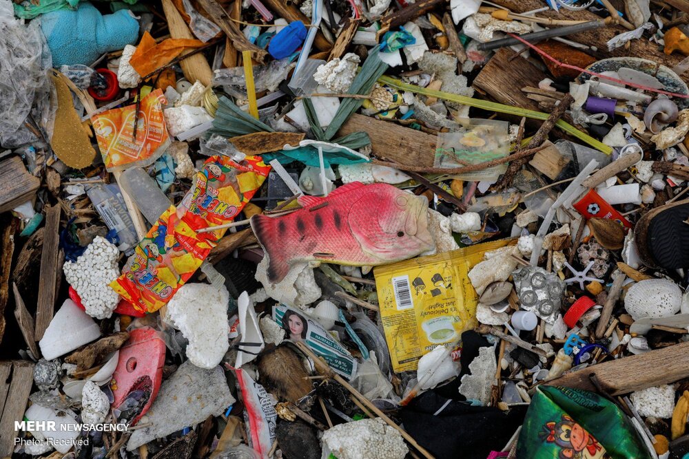روزانه ۲۳ تن زباله های پلاستیکی در ایلام تولید می شود