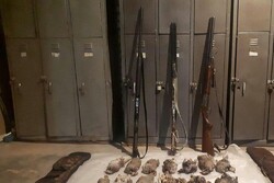 دستگیری ۵ شکارچی در منطقه شکار و صید ممنوع «گرین»