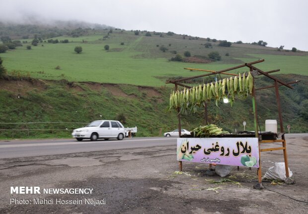 بلال فروشی های گردنه کوهستانی حیران