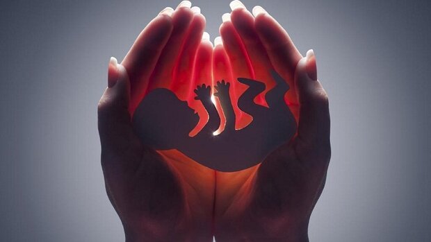 کاهش ۲ درصدی سقط جنین در اردبیل/مجوز ۹۸ مورد سقط جنین صادر شد