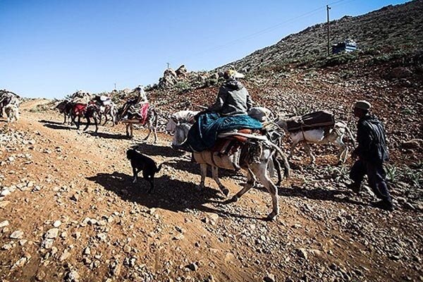 عشایر دشتستان و مشکلات فراوان/از آب و راه گرفته تا تحصیل و بهداشت