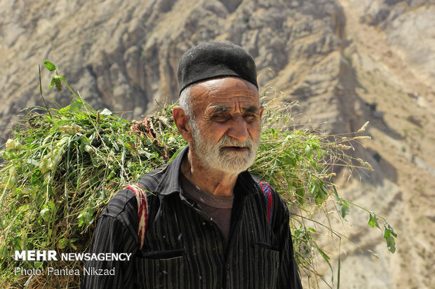 Rural life in Sar Aqa Seyyed village