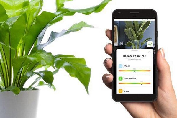 اپلیکیشنی که مراقبت از گیاهان خانگی را تسهیل می کند