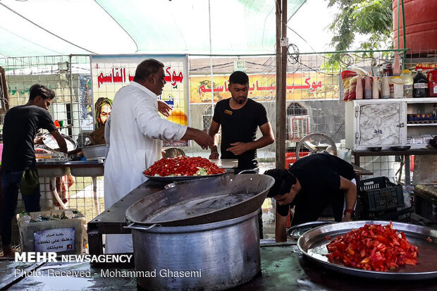 زوار الإمام الحسين(ع) في طريقهم إلى كربلاء