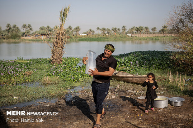 موکب خانواده «عیدان و عبید»