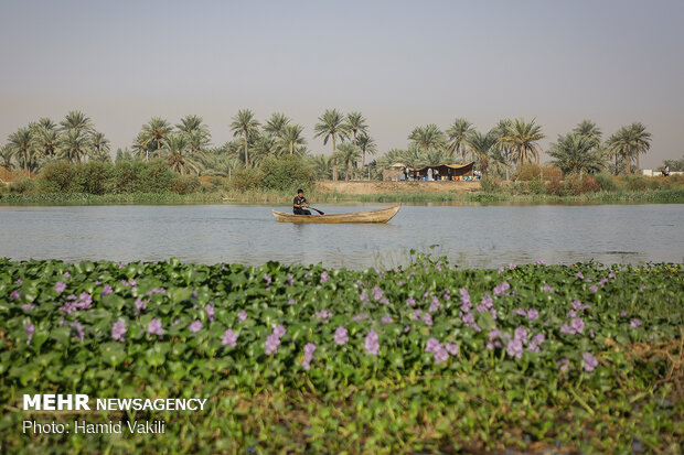 موکب خانواده «عیدان و عبید»