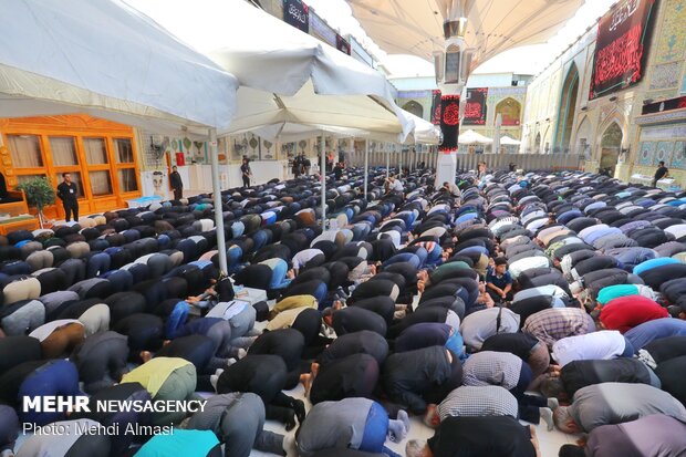 Performing noon prayers in Imam Ali (PBUH) holy shrine in Najaf