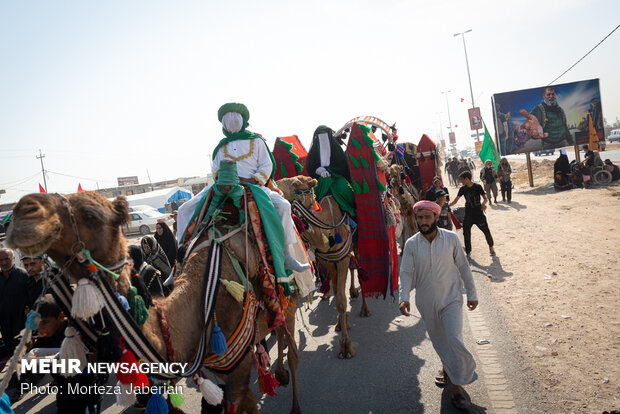پیاده روی زائران اربعین در مسیر « حیدریه - طویریج »