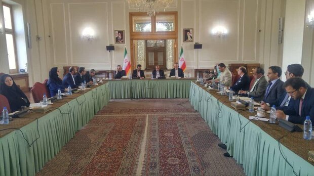 Senior assistant to Zarif expresses regret about obstructions in Stockholm agreement