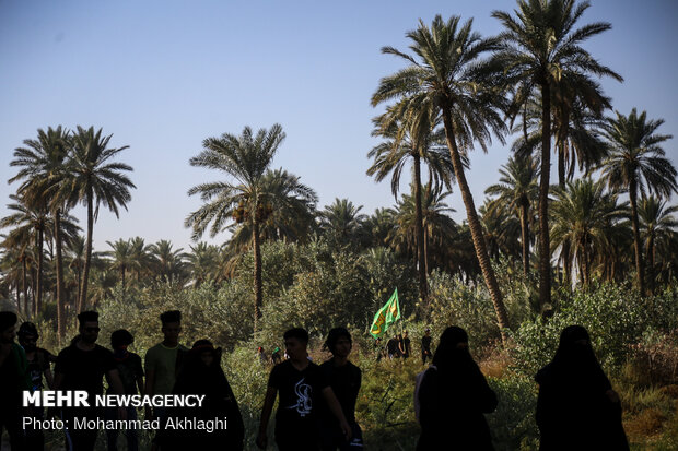 Arbaeen pilgrims in Babil Governorate, Iraq