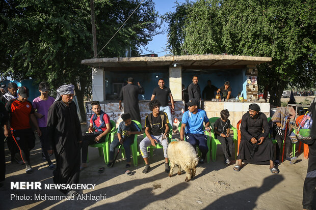 Arbaeen pilgrims in Babil Governorate, Iraq