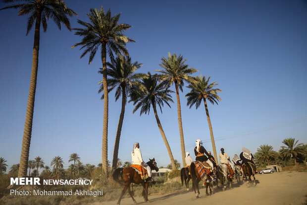 Arbaeen pilgrims in Babil Governorate, Iraq