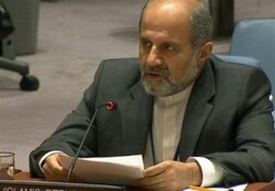 Iran not to bear all JCPOA burden: UN envoy