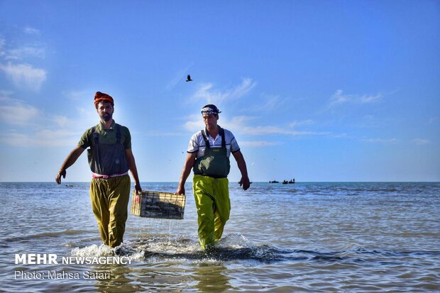 بدء موسم الصيد في مياه بحر قزوين شمالي ايران 
