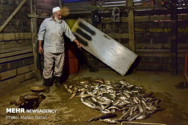 بدء موسم الصيد في مياه بحر قزوين شمالي ايران 