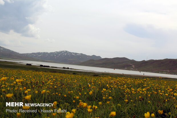 Neor Lake, a hidden-gem travel destination in Ardabil