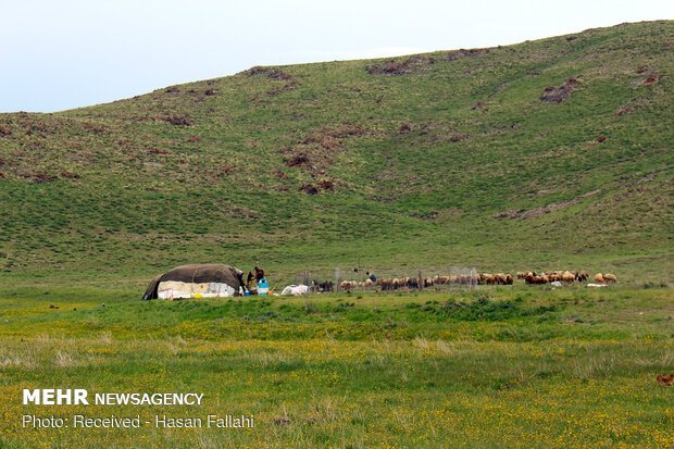 Neor Lake, a hidden-gem travel destination in Ardabil