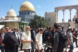 مئات المستوطنين يدنسون طُهر المسجد الأقصى
