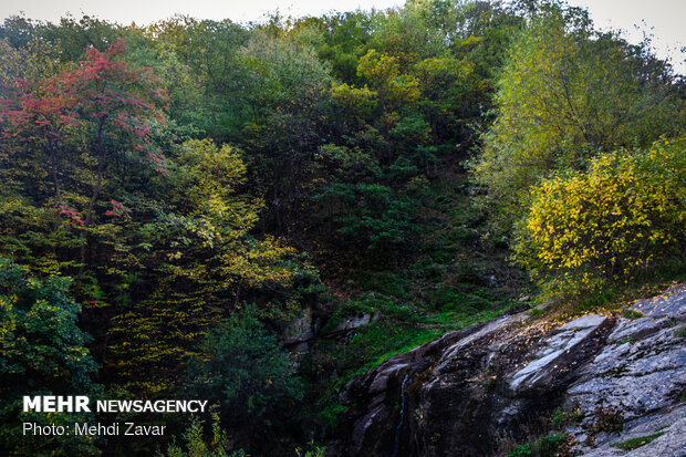 Superb autumn landscapes in Arasbaran biosphere 