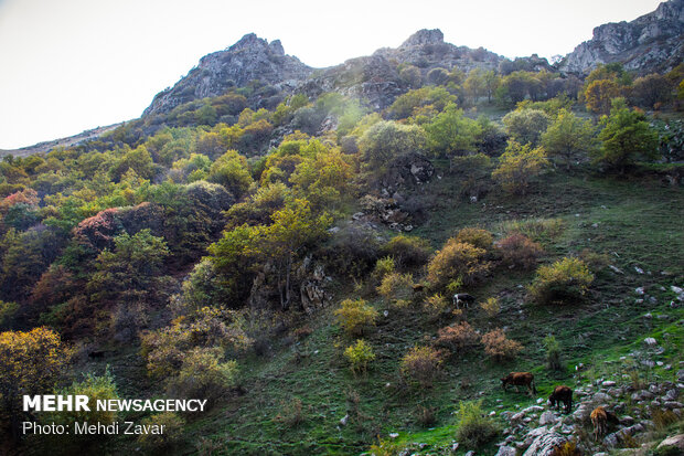 Superb autumn landscapes in Arasbaran biosphere 