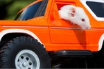 موش ها رانندگی یاد گرفتند!