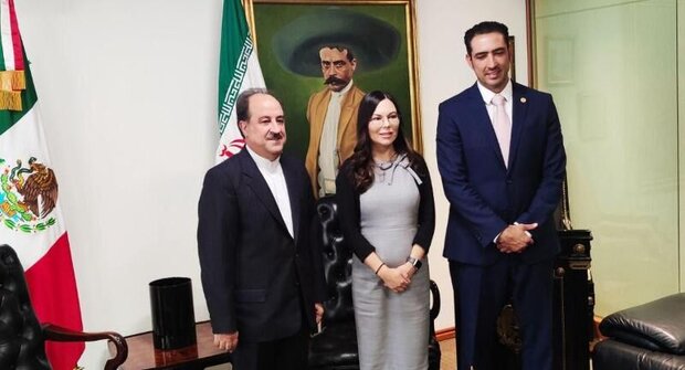 Iran-Mexico cooperation on upward trajectory: envoy