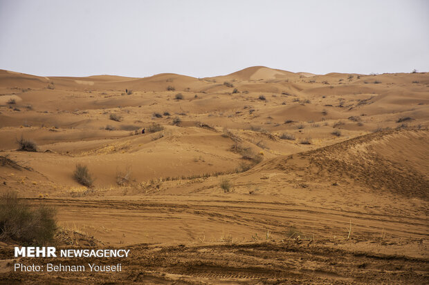 صحراء "أبوزيدآباد"