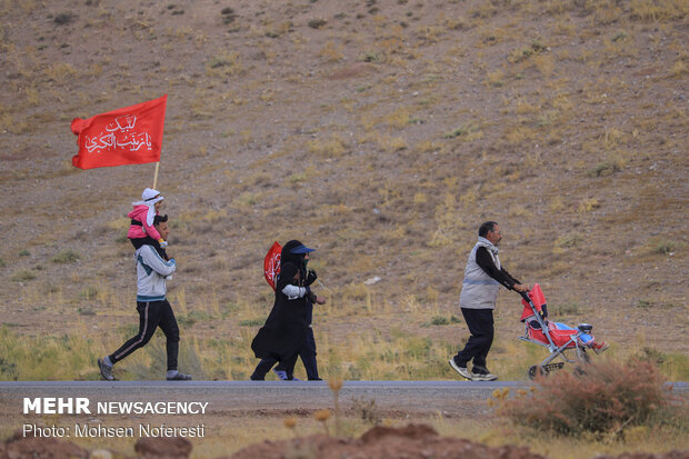 Pilgrims trekking towards holy shrine of Imam Reza (PBUH)