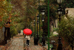 Fall