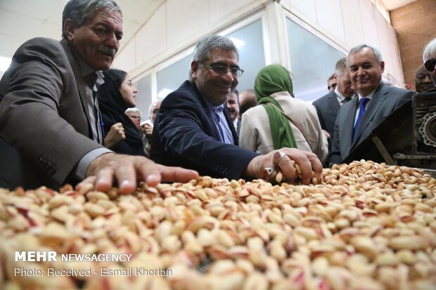 Foreign ambassadors attend pistachio, Kilim celebration in Sirjan, Kerman