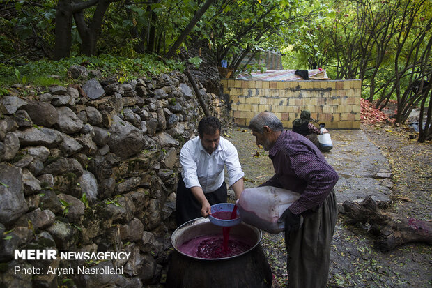 یاقوت سرخ هورامان‎