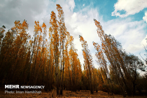 Hamedan in Autumn