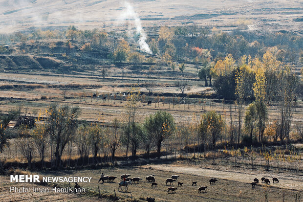 Hamedan in Autumn