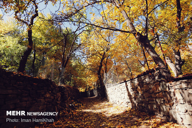 Hamedan in Autumn