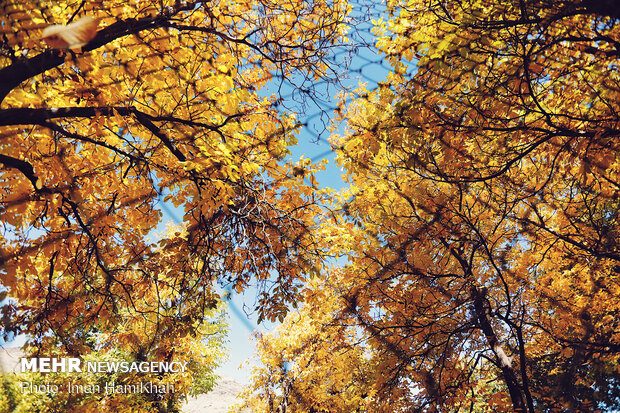 Hamedan in Autumn