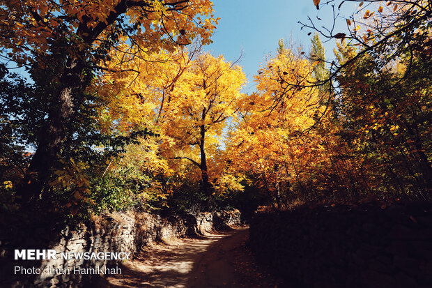 Hamedan in Autumn