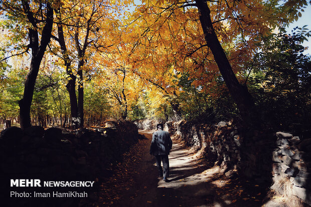 Hamedan in Autumn