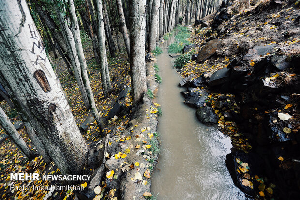 Hamedan in Autumn