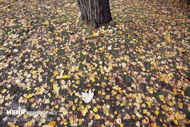 Hamedan in Autumn