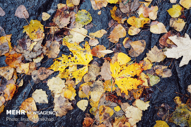 Hamedan in Autumn