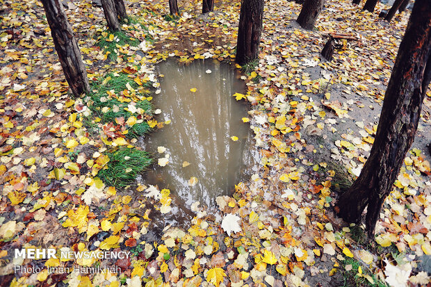 Hamedan in Autumn