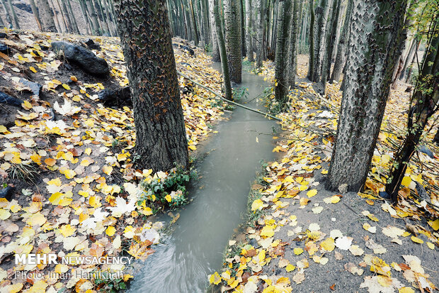 Hamedan in Autumn