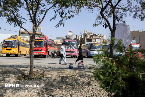 حضور زائران پاکستانی در قم