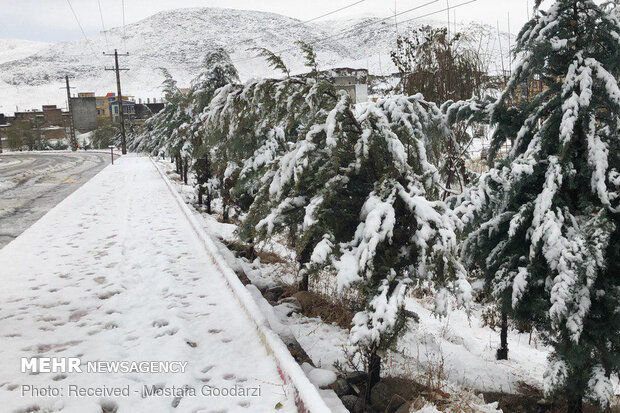 بارش برف در شهرستان دلفان