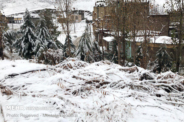 Snow blankets Delfan county in Lorestan province