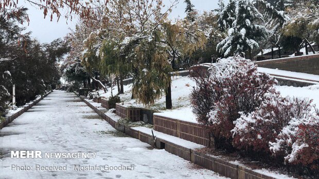 Snow blankets Delfan county in Lorestan province