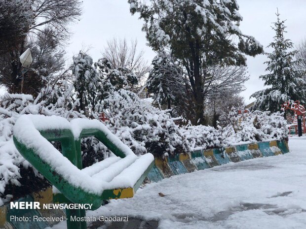 Snow blankets Delfan county in Lorestan province